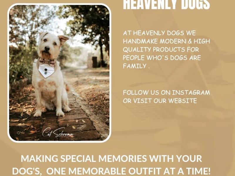 Heavenly Dogs
